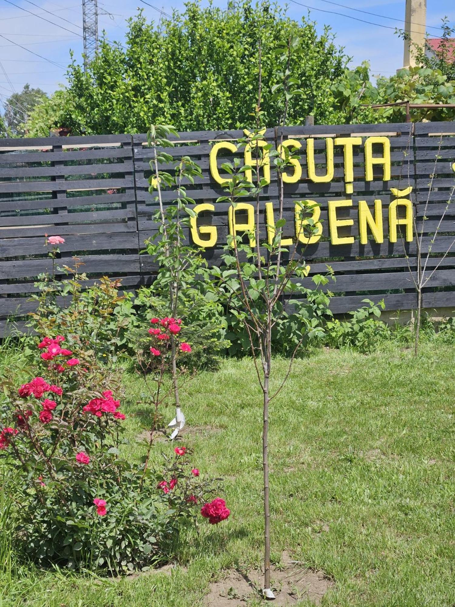 Casuta Galbena Villa Западен Ефорие Екстериор снимка